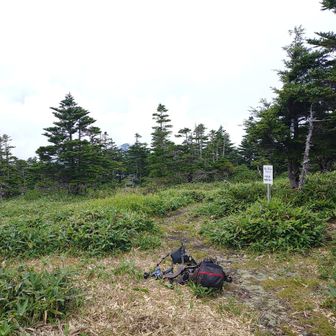 今回の山行では最高峰となる池ノ平山ですが、眺望はありません😅

だだっ広い広場になってますので、周辺をウロウロしてみると眺望の良い場所が見つかるかも