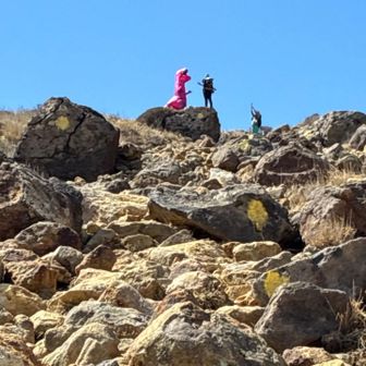 下山時に遠くに恐竜発見