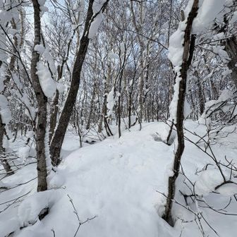 阿部ーーーっ📣