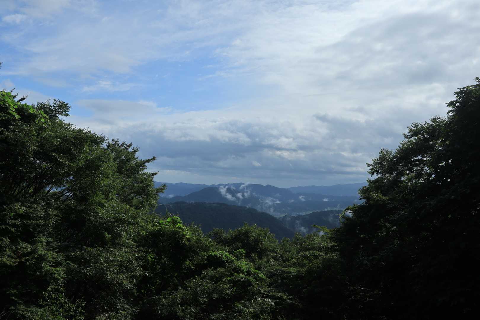牛ヶ峰山 往復コースの写真