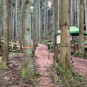 何はともあれスタート、まずは目的の百名山を背に逆走。