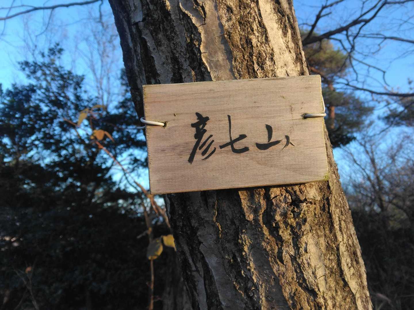 彦七山🗻✨