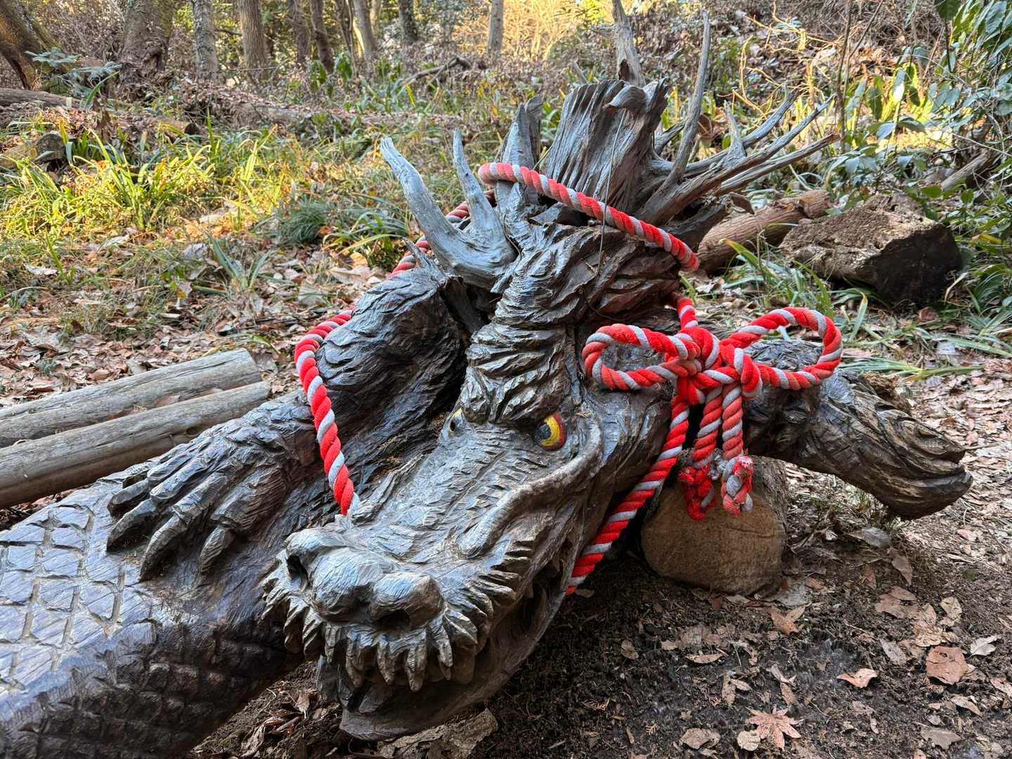 でたあ〜✨🐉1番会いたかったやつ♡
正月バージョン❓