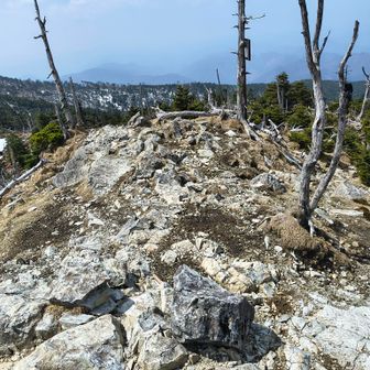 山頂付近はあまり広くないです