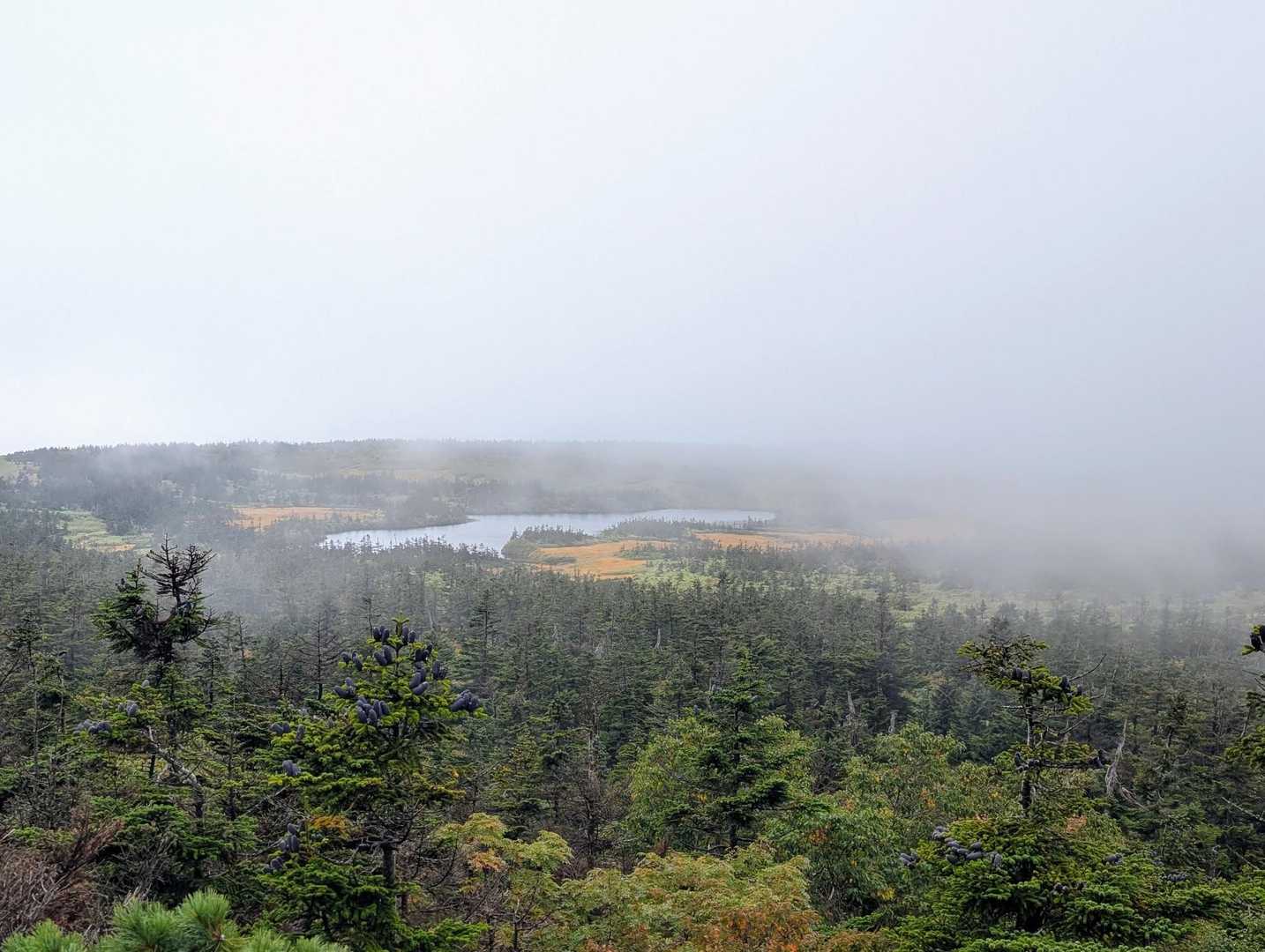 八幡平登山口-めがね沼-八幡平-源太森-見返峠 周回コースの写真