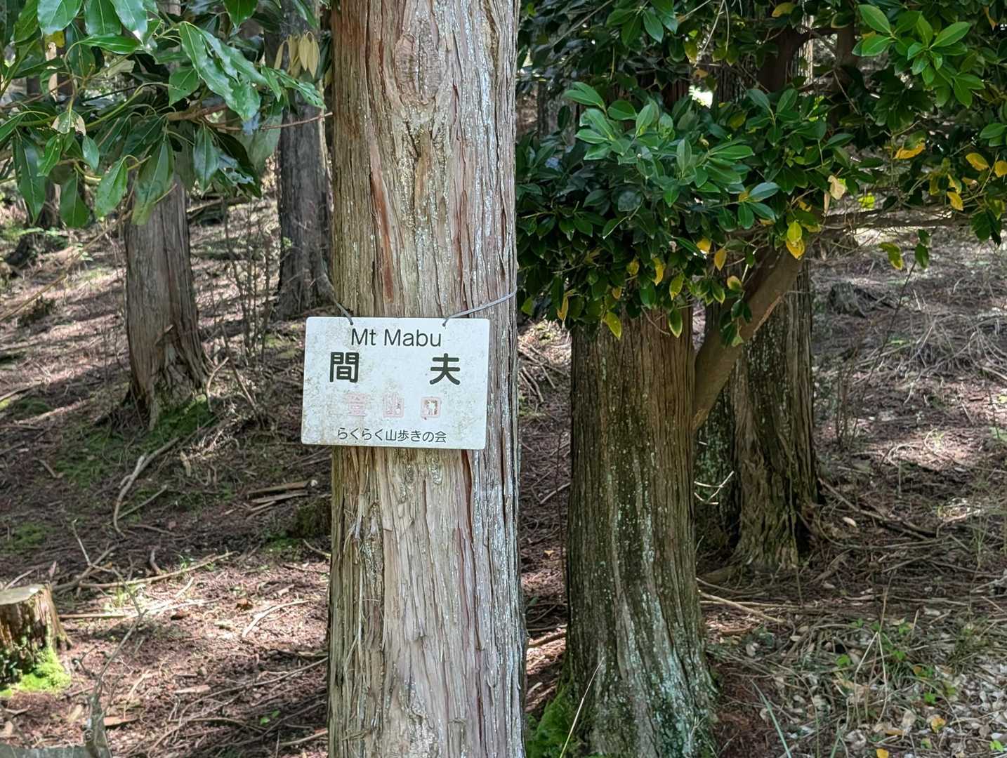 さぁ登って行きますね👍🎶