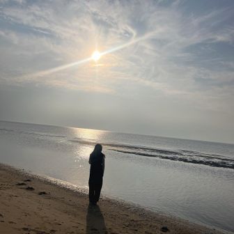 ゴールドシップ