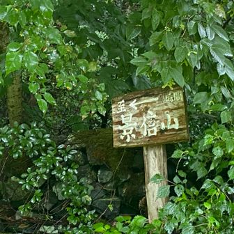 『景信山』への木製標識。素朴な道標が、長年多くの登山者を山頂へと導いてきたのですね