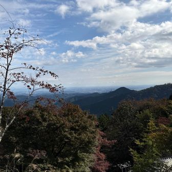 東京方面が見えます。