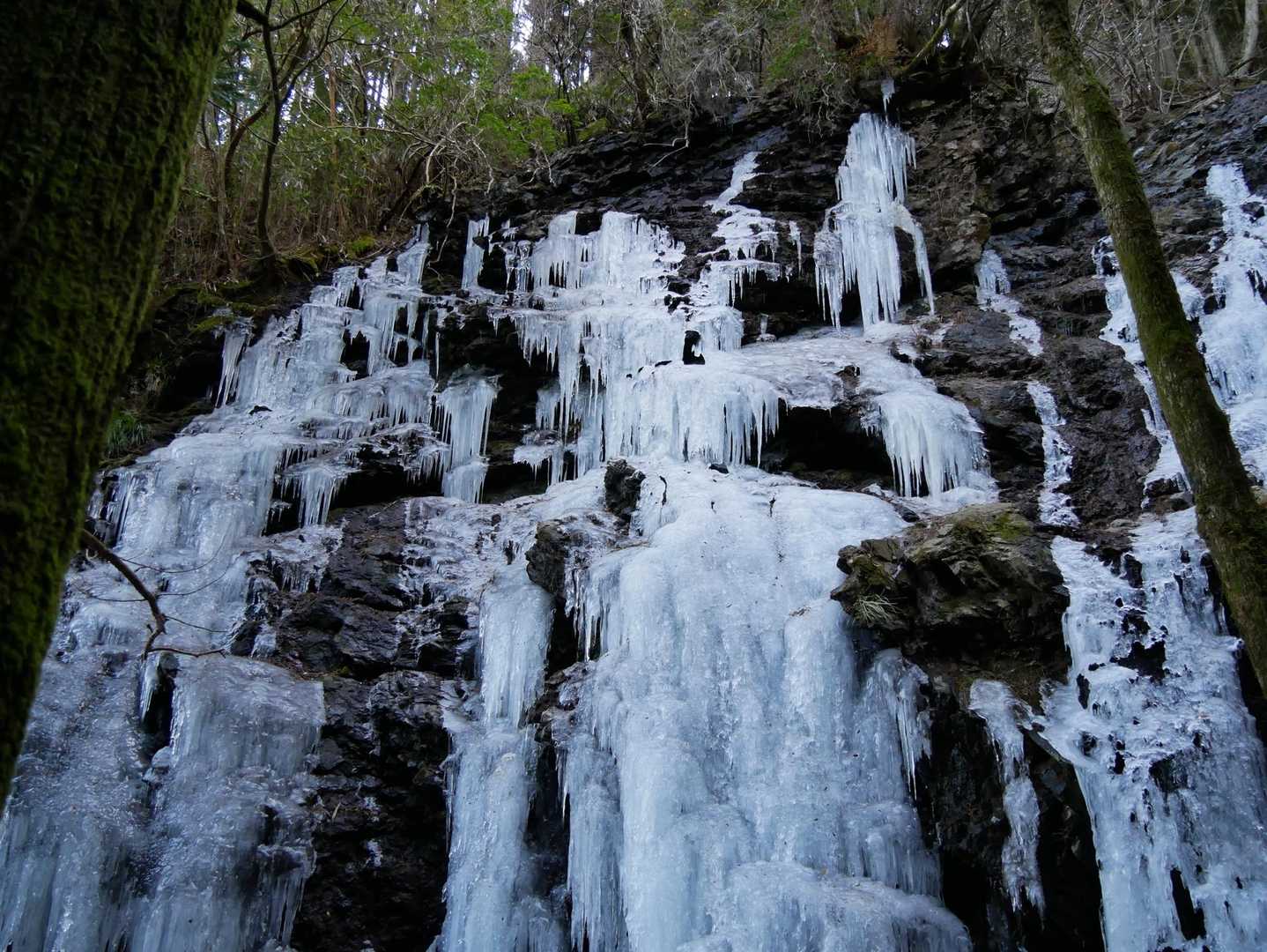 富士見岳-駒引峠 周回コースの写真