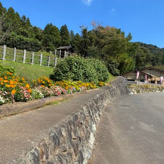 とてもきれいな公園