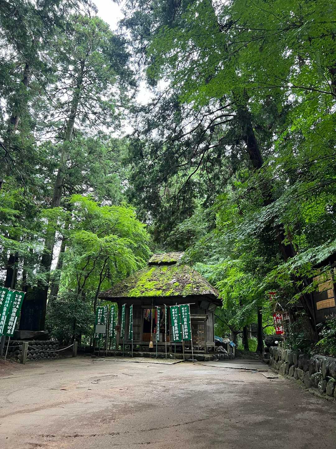 塩船観音寺-愛宕山 往復コースの写真