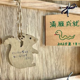 リスの形の絵馬なんてあったのかしら！可愛い🩷
もうすぐ🐍から🐎にバトンタッチですね