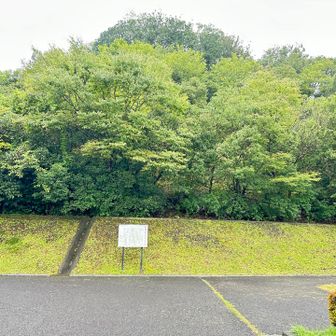 次のグレピは夕日山

近所の子供がつけたようなバリルート見つけて直登しました(つるつる急登で転倒不可避な下山は大人しく遊歩道利用)