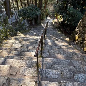 下山は階段地獄