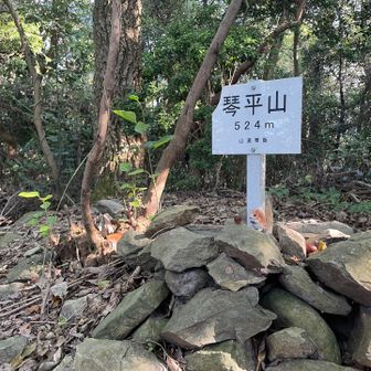 ダラダラと歩いて琴平山