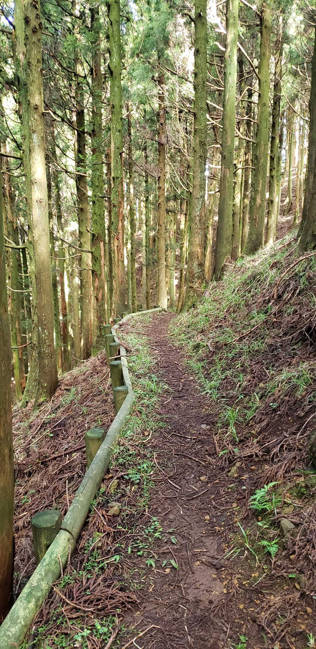 すごく歩きやすい道です
足にもやさしい😃