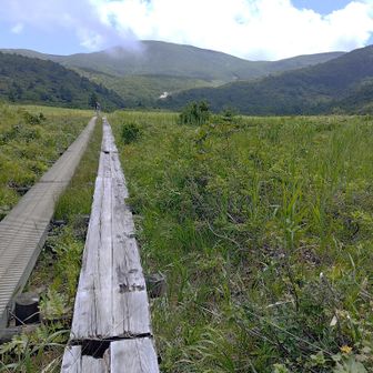 名残ケ原湿原