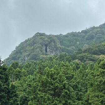 免の石見えるよ
