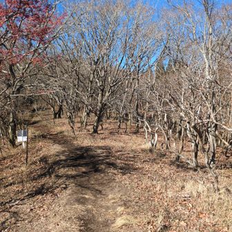 山歩スタート💪