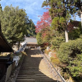 本堂へと続く階段を登ります