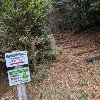 ☝️西鳳翩山〜地蔵峠へは
　　あっと言う間に
　　　着いた気がする

💪東鳳翩山へ向かって
地獄の階段頑張ります💪