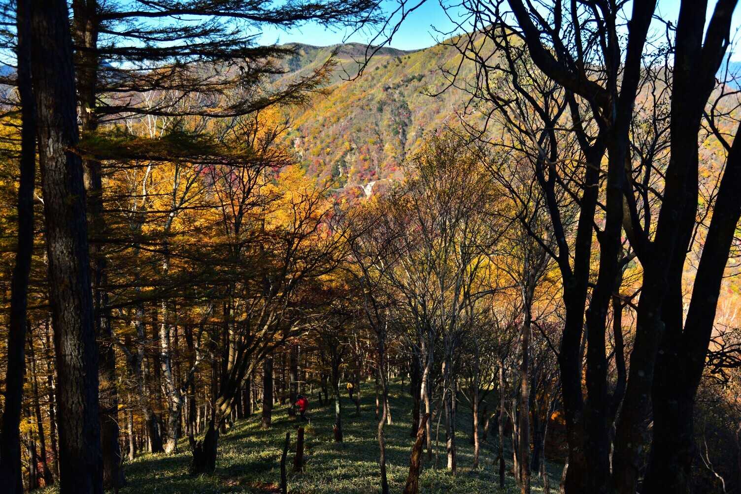 中禅寺山の写真