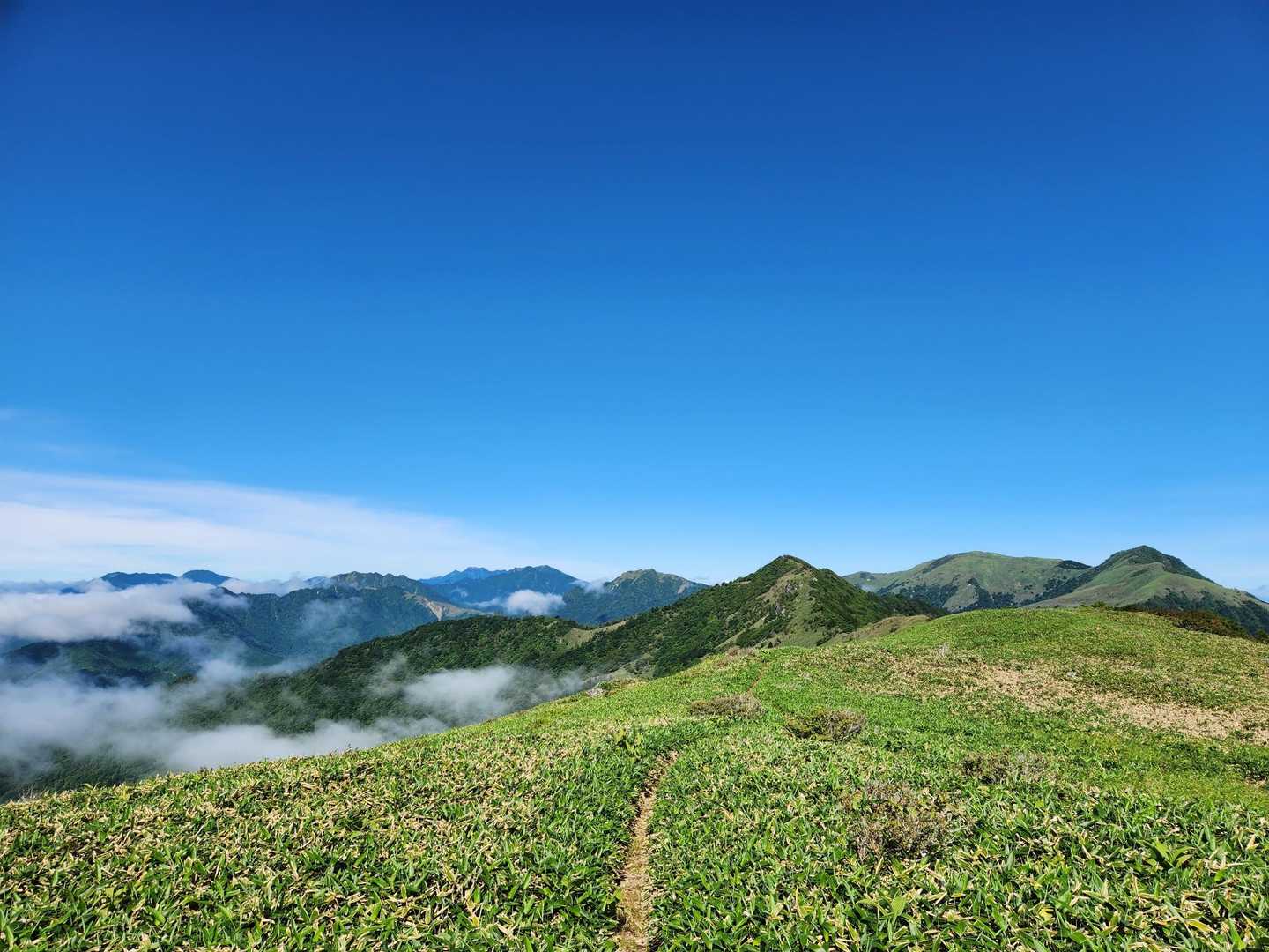 石鎚ファミリー。寒風山？は見えてないかな。筒上山、石鎚山、瓶ケ森、伊予富士、笹ヶ峰、冠山。
手箱山、ちちやま