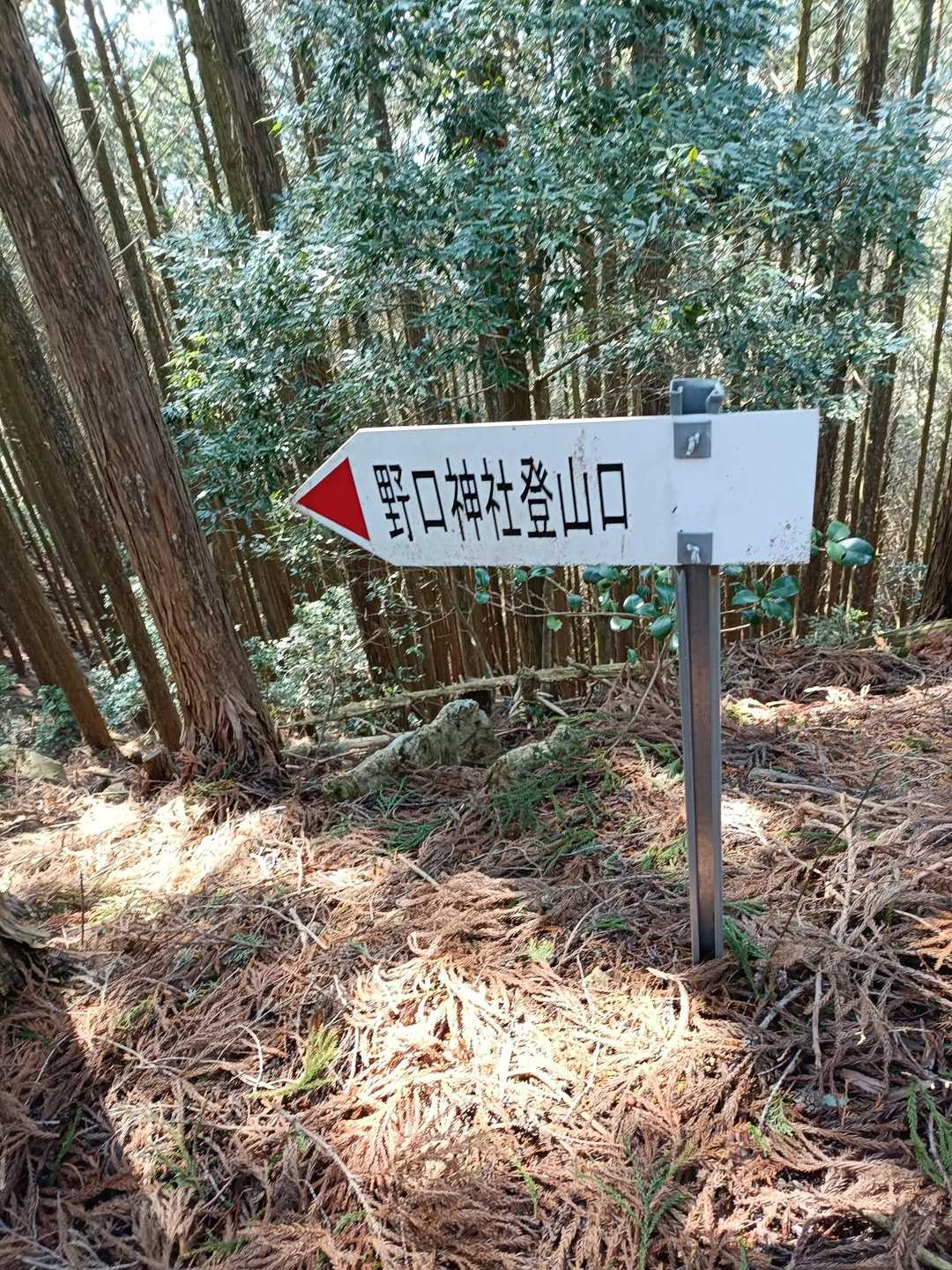 野口神社方面に下山します⤵️