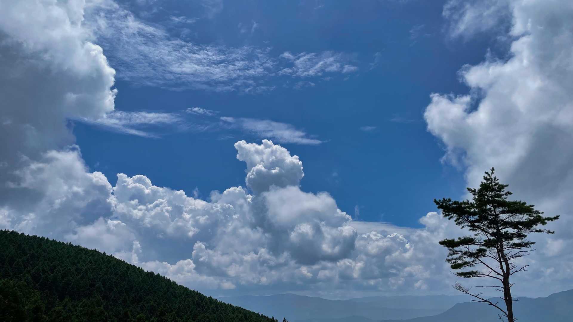 ダイナミックな雲