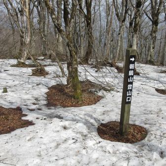 さてと下山開始。
朝鍋鷲ヶ山の登山口には向かわず、穴ケ乢に戻ります。
途中、急落を降りる際、足を滑らせ思いっ切り尻もちをつきました。(笑)
その後、お一人の登山者さんに会いご挨拶。
