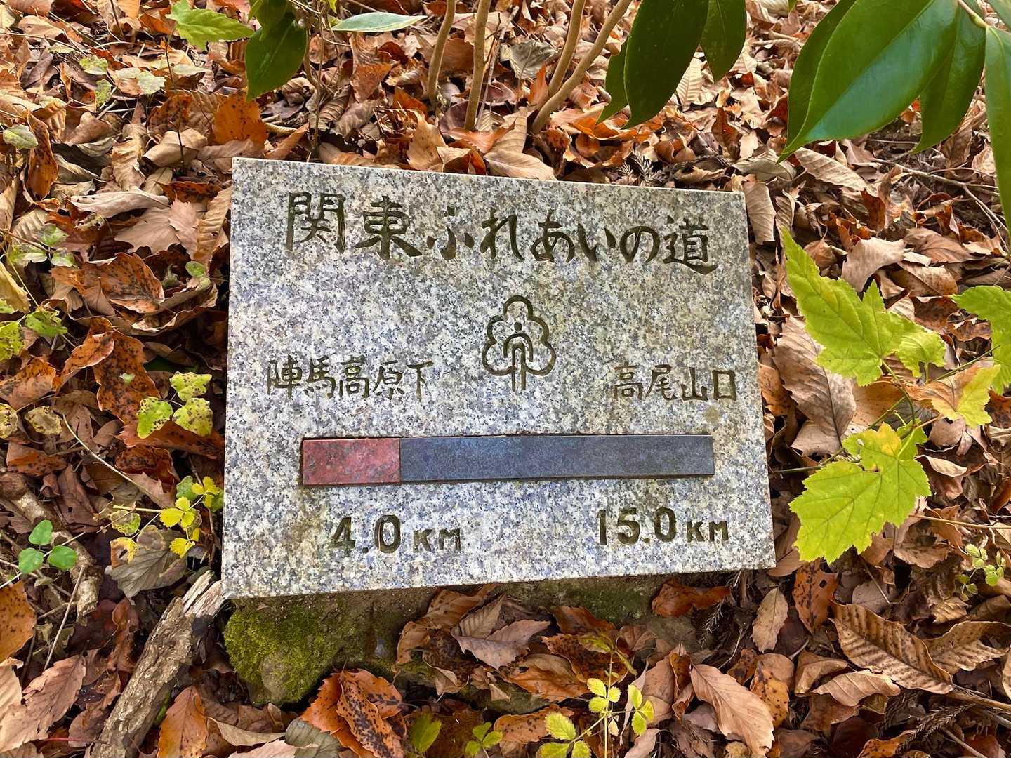 和田峠-陣馬山 周回コースの写真