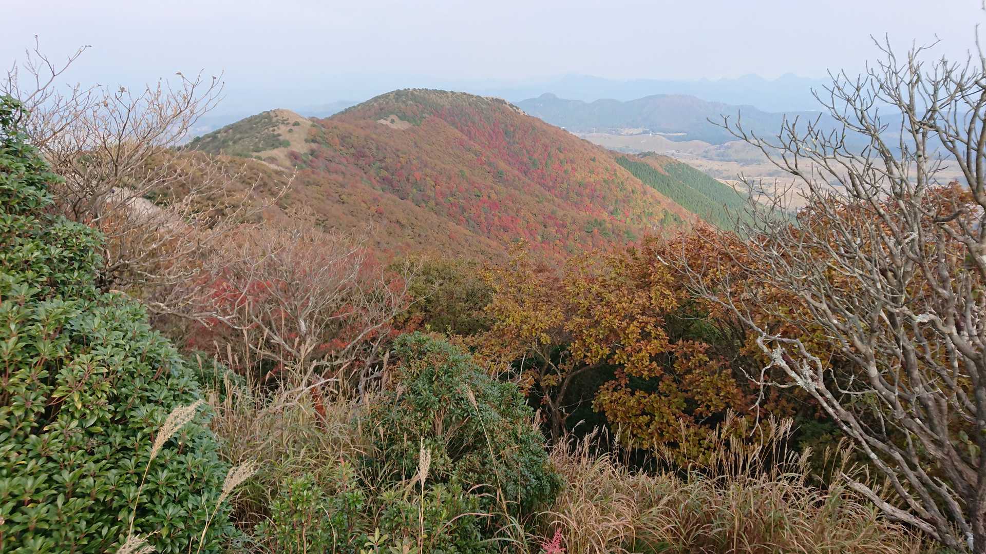 福万山 往復コースの写真