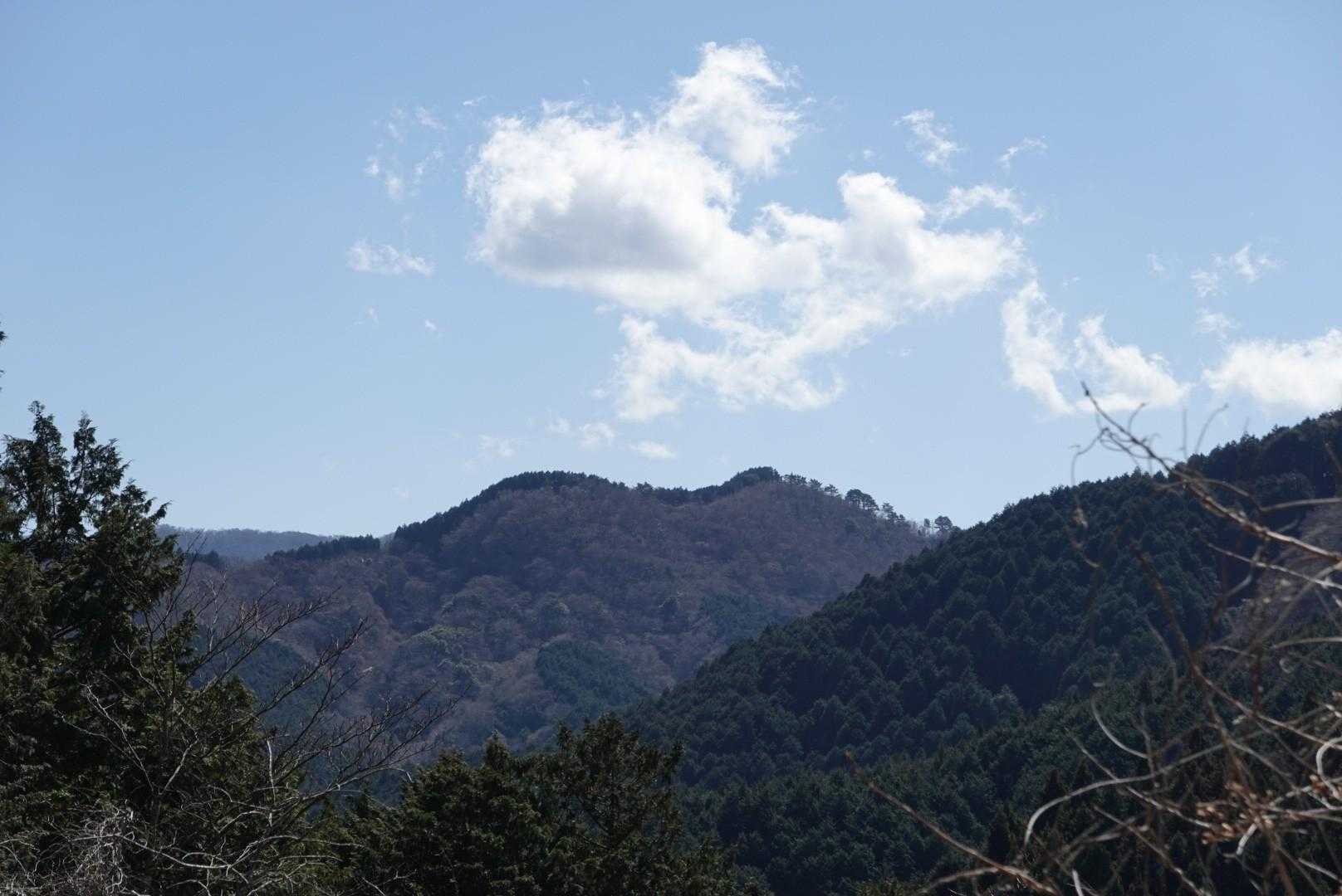 地蔵堂バス停-山伏平-矢倉岳-万葉公園バス停-足柄峠 周回コースの写真