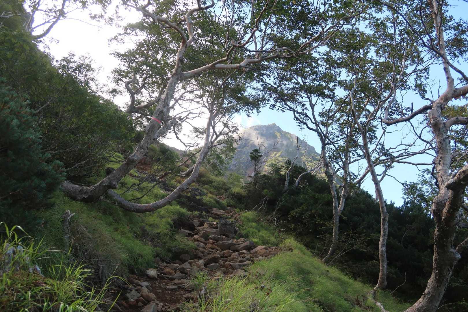 美濃戸口登山口-美濃戸登山口-赤岳-地蔵ノ頭-堰堤広場 周回コースの写真