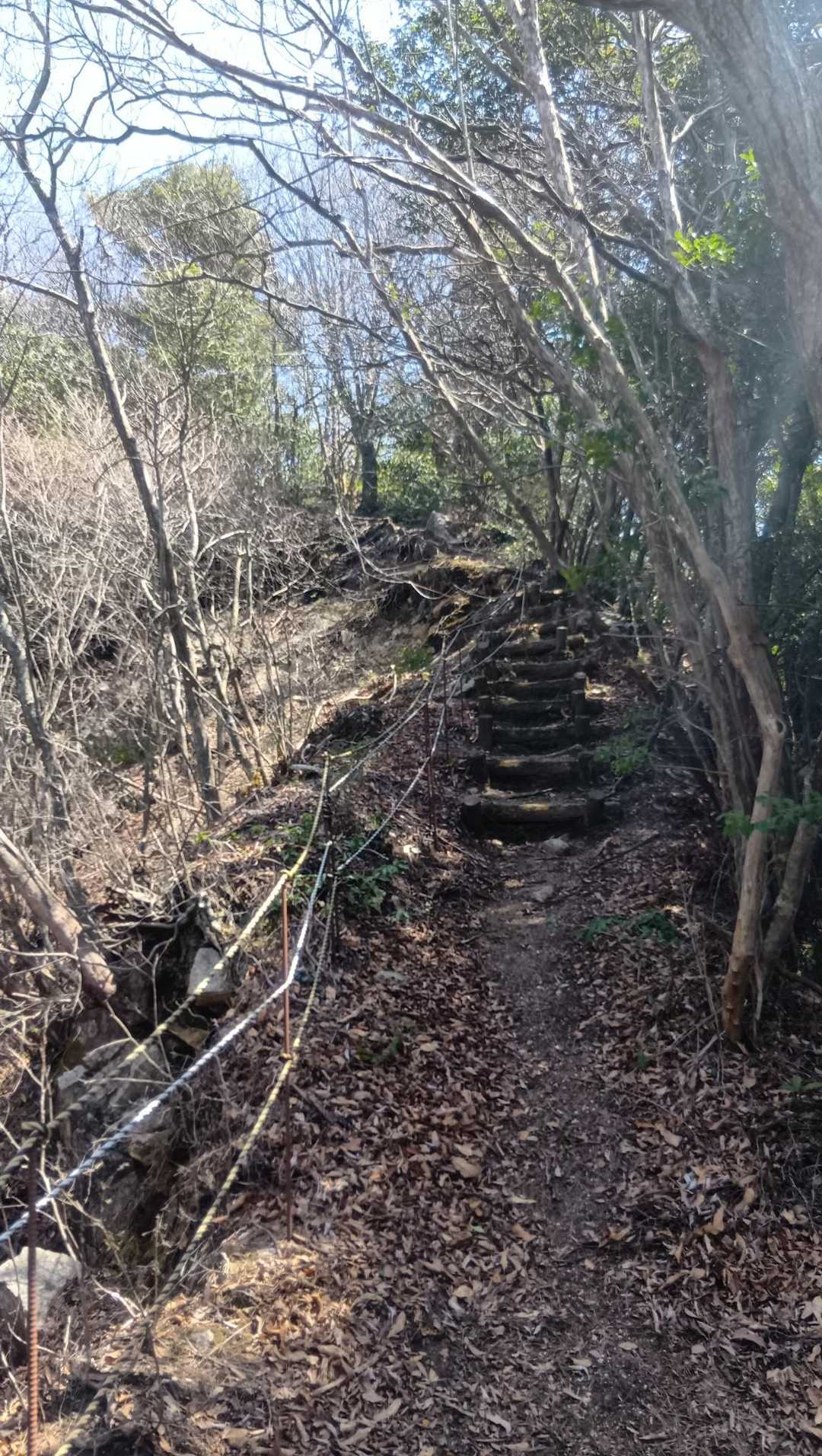 問題の崩落地