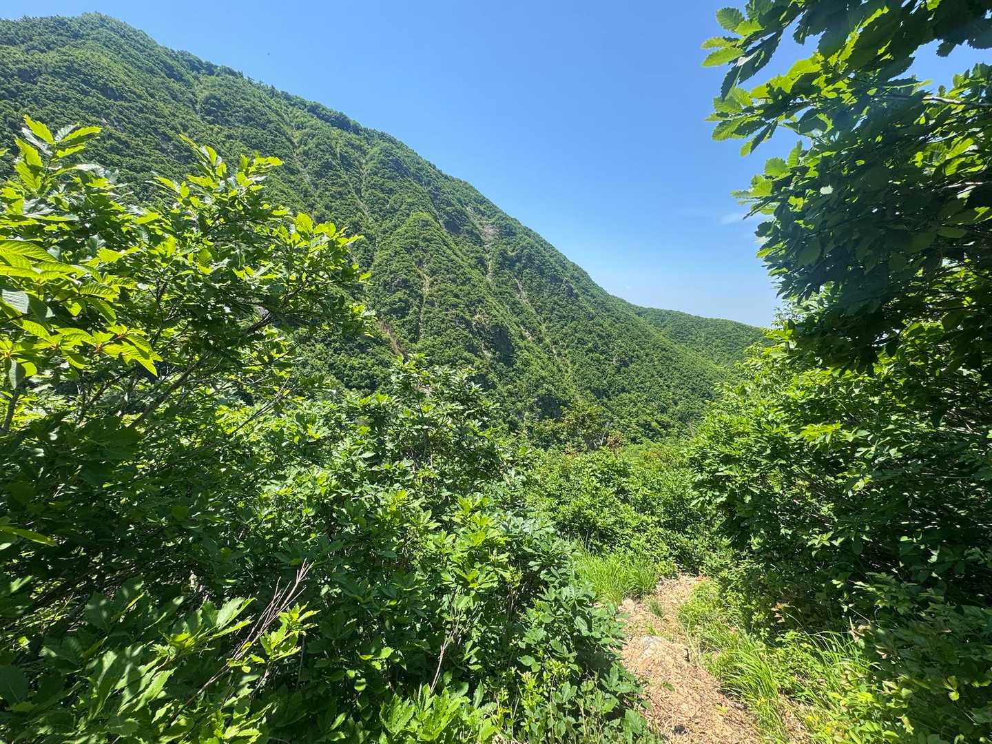 自然って素晴らしい☘️
