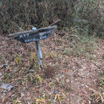 ピストンは面白くないので、ちょっと遠まりしてみます