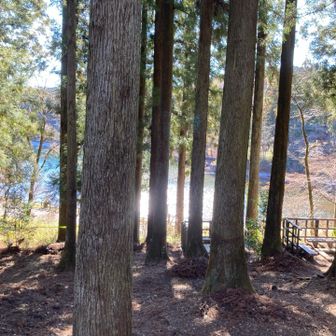 ダム湖だが
カード💳配布無し