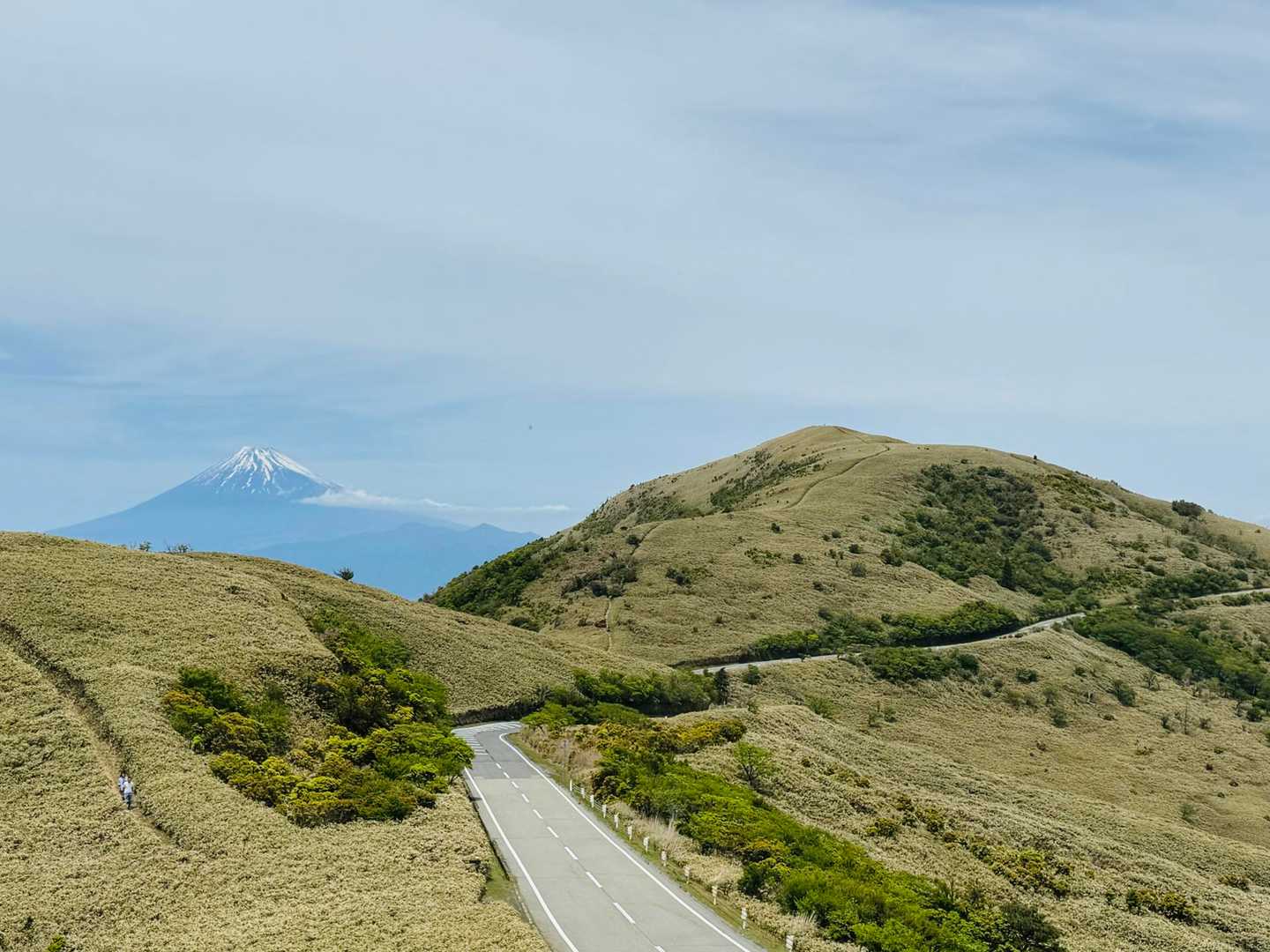 天城峠バス停-天城峠-二本杉峠-滑沢峠-つげ峠-猫越峠-水 縦走コースの写真