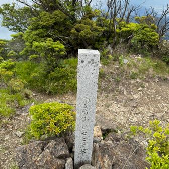 山頂到着ヽ(*＾ω＾*)ﾉ