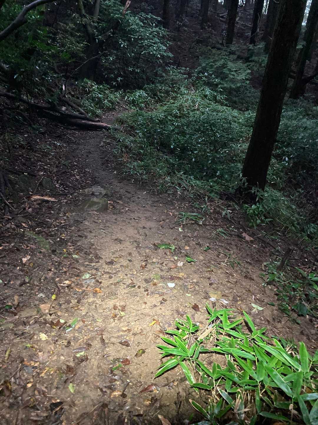 ☔️パラパラ来て真っ暗になった
足元が見えづらくなったのでヘッデンしてみた

今日すれ違ったのは4人と少なかったけど、いつもお会いする方と初めて会話出来て楽しうございました😁

めでたしめでたし