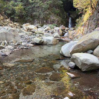 渡渉かもってワクワクしたら丸太橋
取り敢えず手と顔を洗って復活