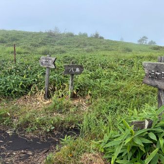 分岐を進む
右は八島湿原への道