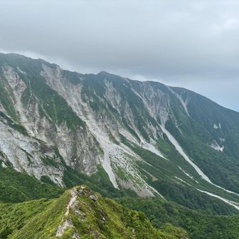 北壁方面からはガレる音が数回。