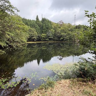 七つ池到着
