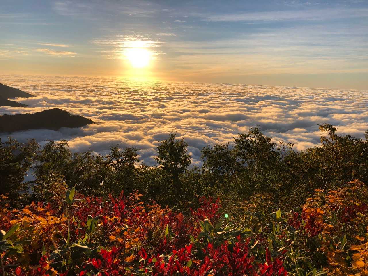 夕焼けー