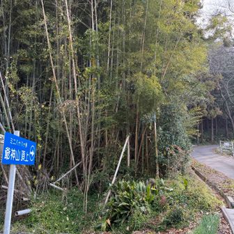 楽しい時間もこの坂登れば終わりです