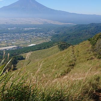高座山までの登りは急
