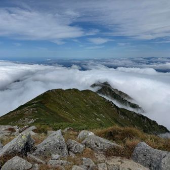 宝珠山より下方は雲の中。